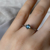 Sapphire Freya Ring - Six Claw