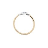 The Lucille Ring