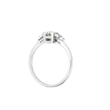 The Fitzgerald Ring