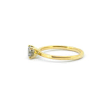 Nova Ring