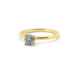 Nova Ring