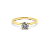 Nova Ring