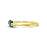 The Alexis Ring